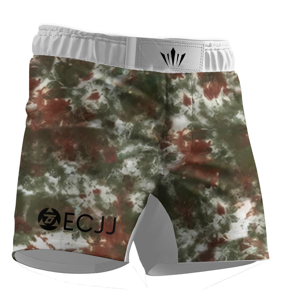 ECJJ Tie Dye Shorts