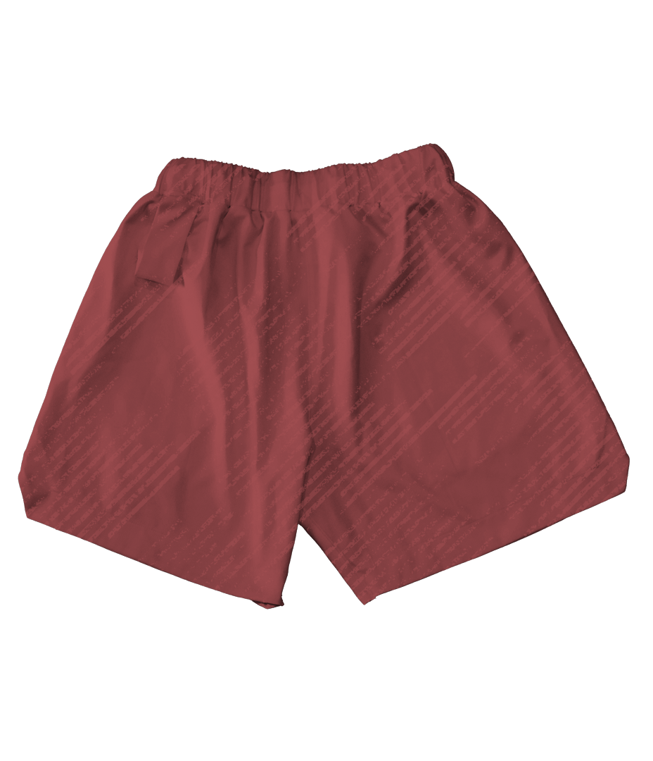Astro Dust Core Shorts