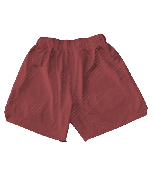 Astro Dust Core Shorts
