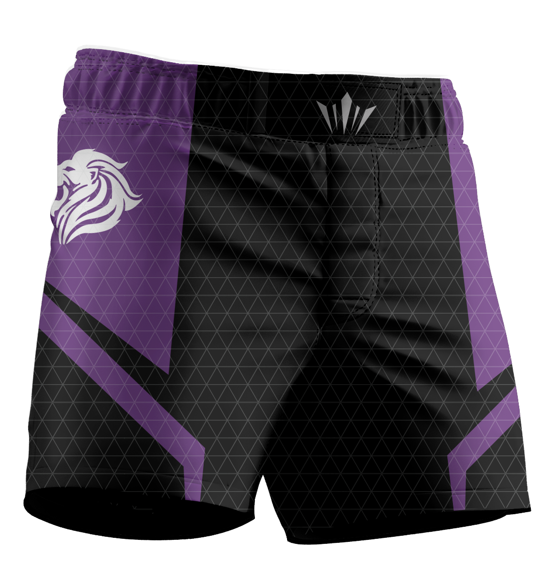 Mooresville BJJ Ranked Shorts - Purple V2