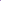 Adamas Jiu Jitsu Academy Shorts - Purple