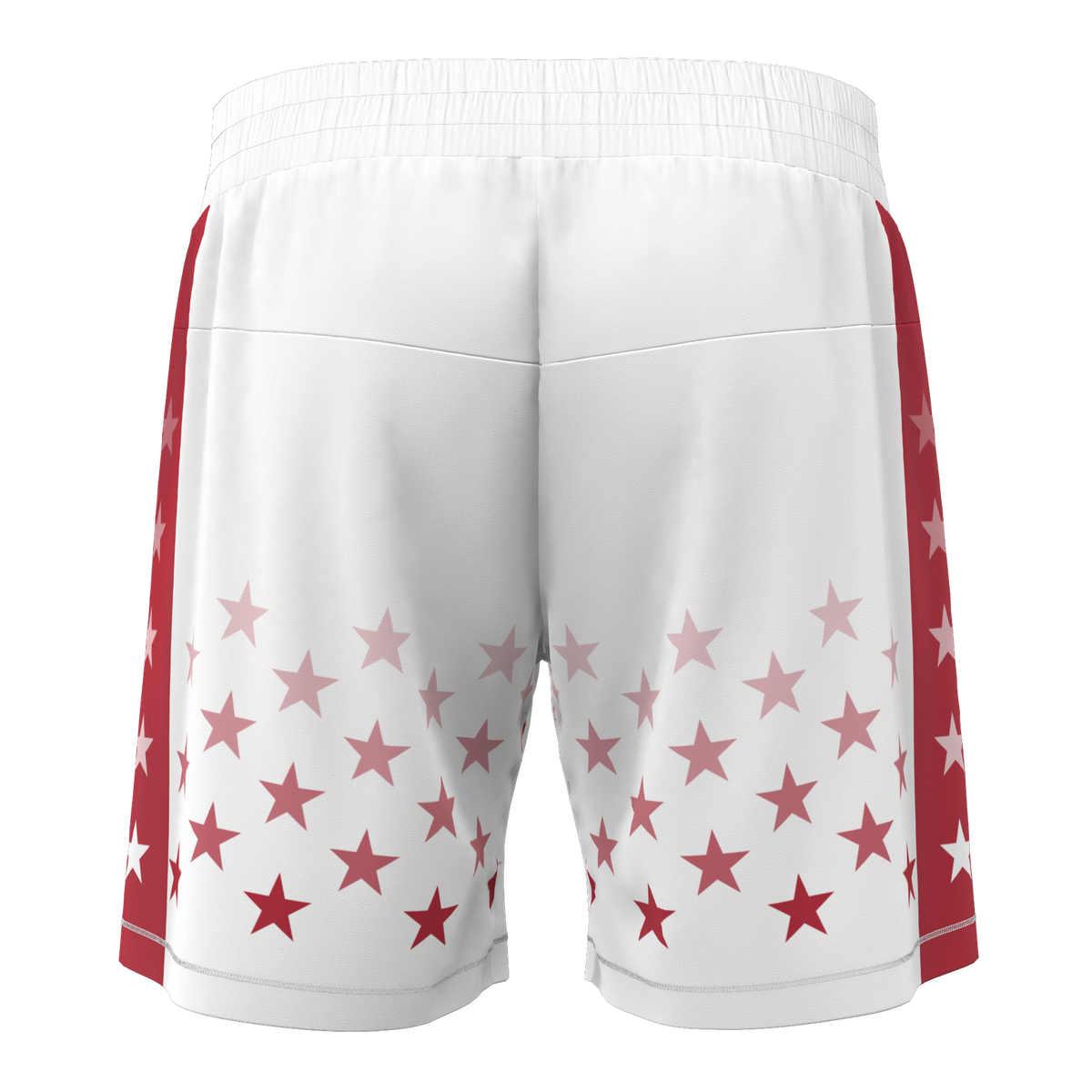 America BJJ Shorts