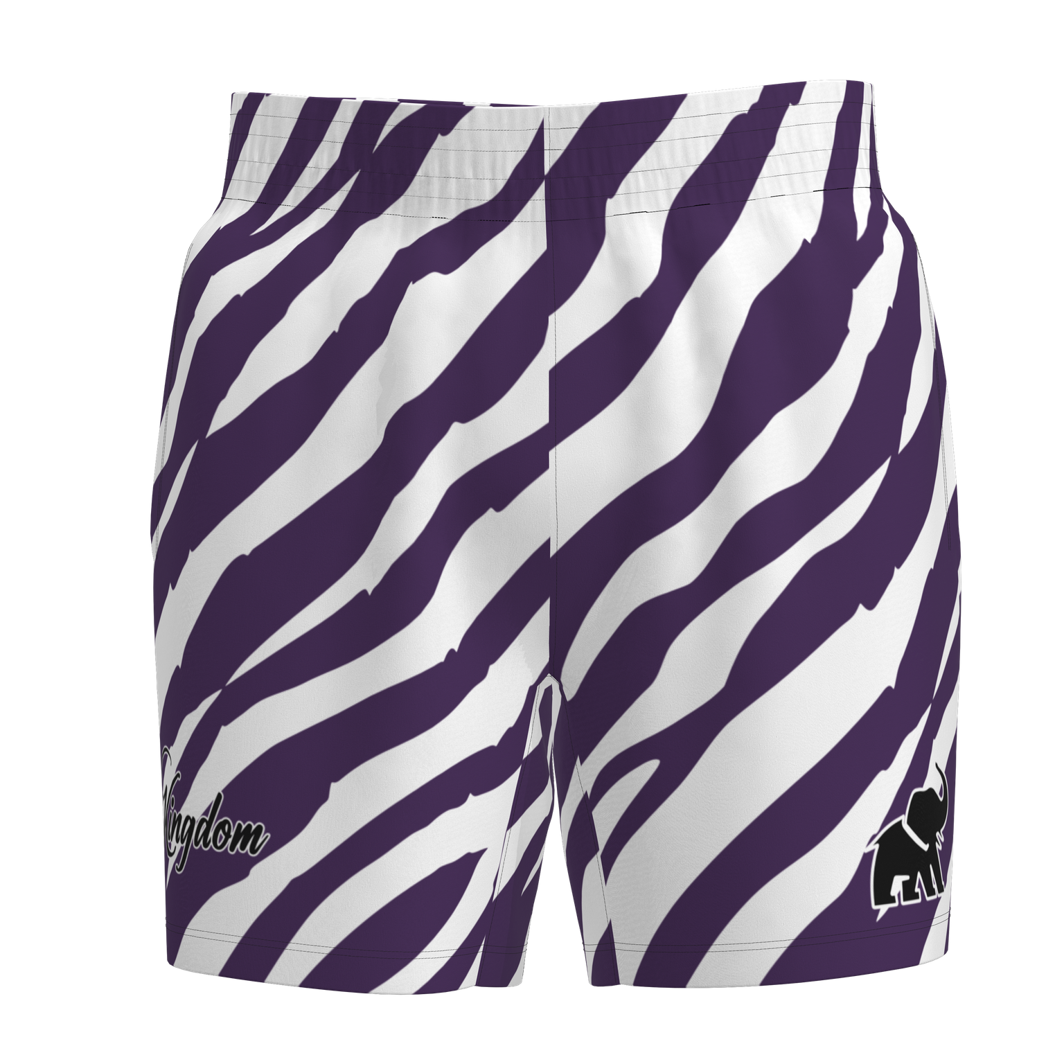 Kingdom Mesh Shorts - Zebra