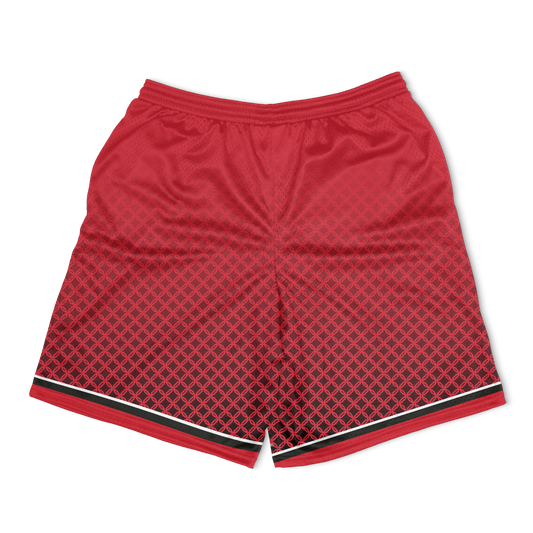 Rutgers Birthplace Mesh Shorts