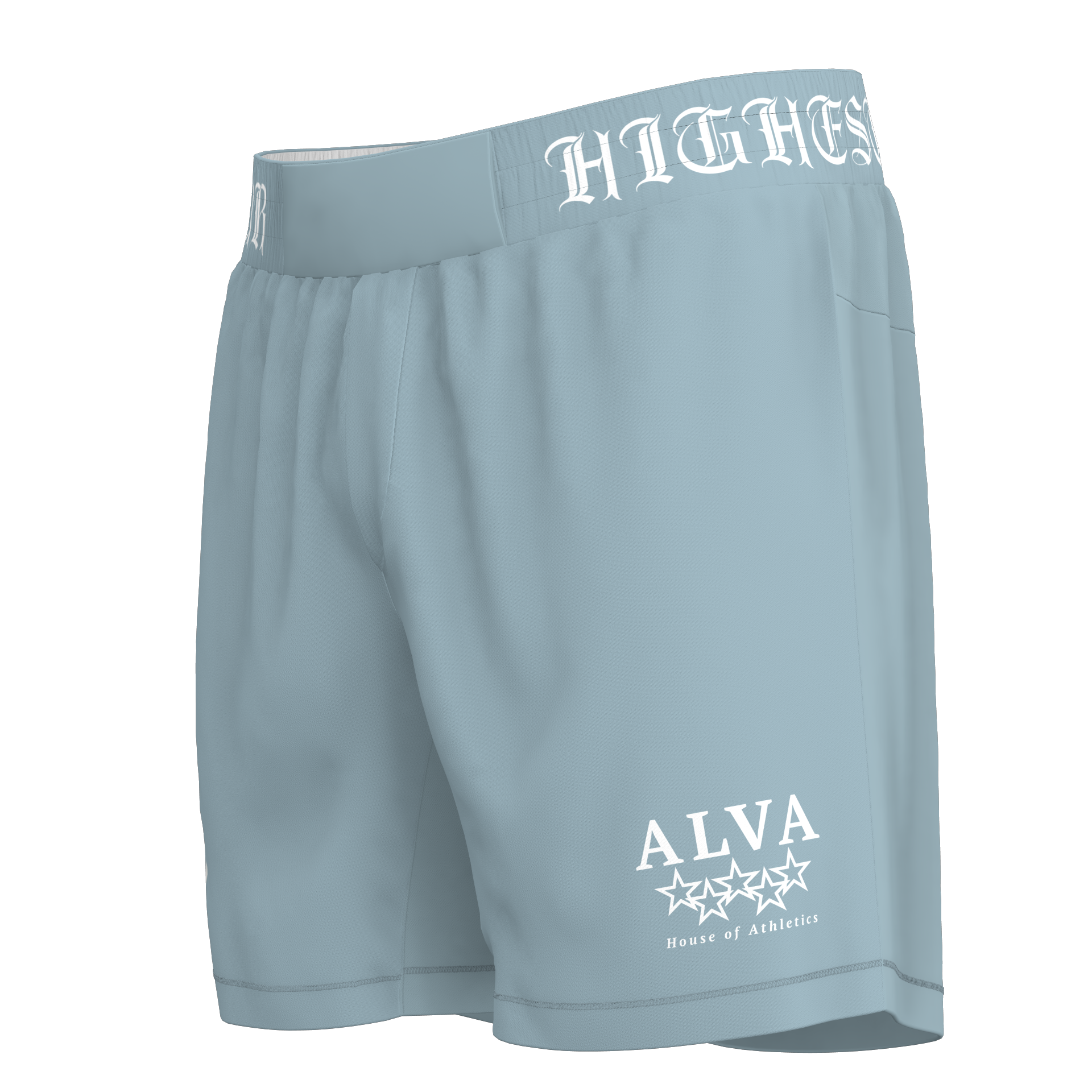 Pewter Blue BJJ Shorts