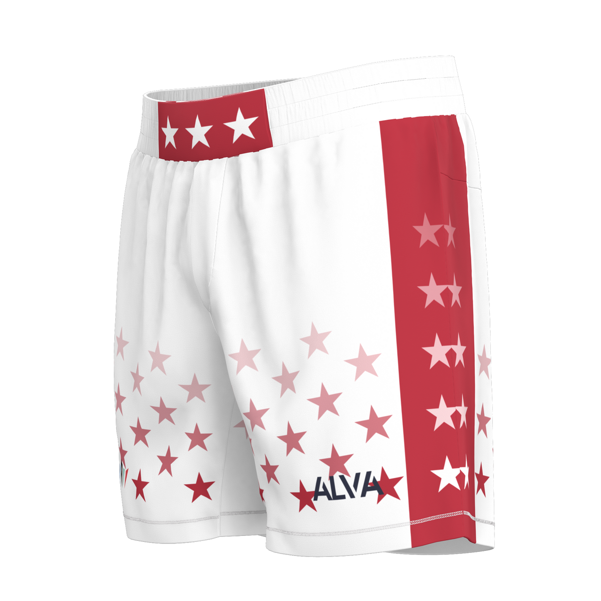 America BJJ Shorts